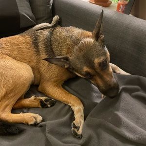 Meet your Posher, Thomas